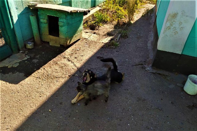 photo_2020-08-24_20-28-34 (2).jpg