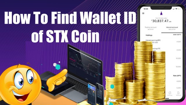 How To Find Wallet ID of STX Coin by Crypto Wallets Info.jpg