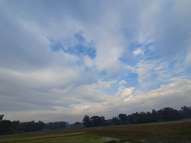 20241217_150346.jpg