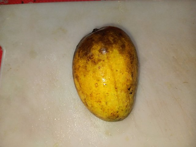 1000031934.jpg