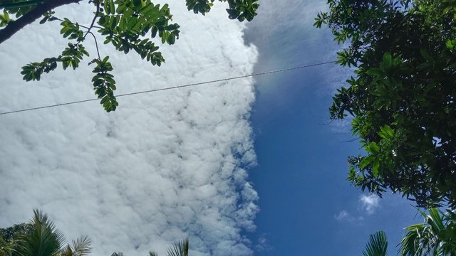 IMG_20250926_073737_991.jpg
