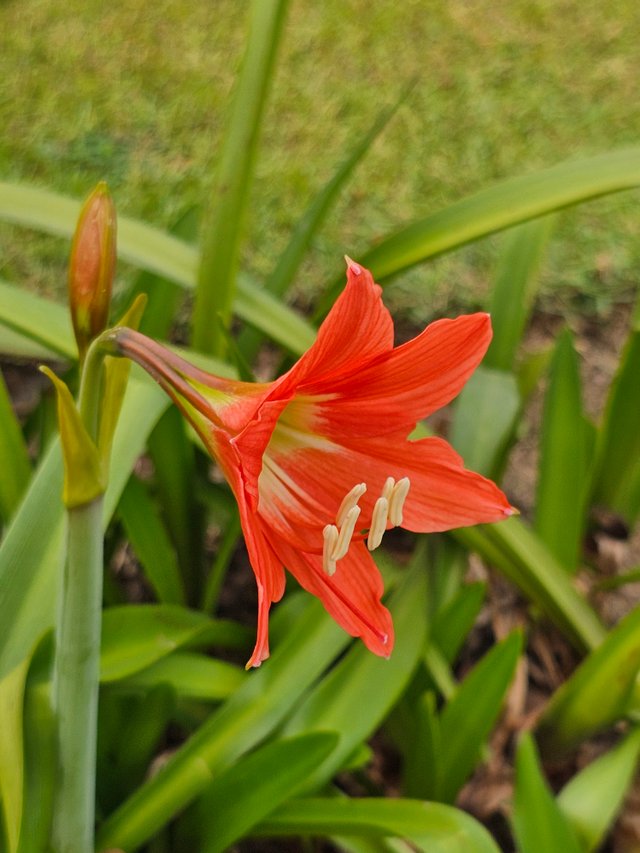 20250404_092415.jpg
