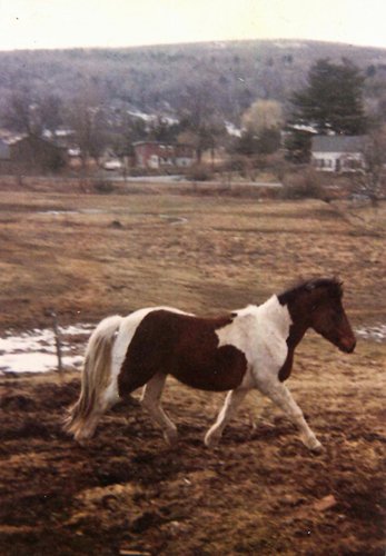 3.Chief crop1 April 1969.jpg