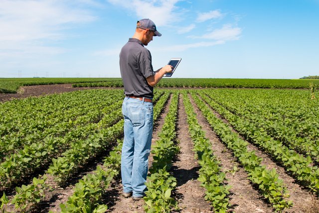 as_123652545_guy_tablet_field2.jpeg
