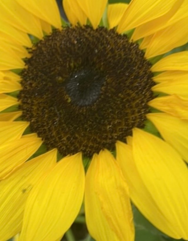 IMG_5157.jpeg
