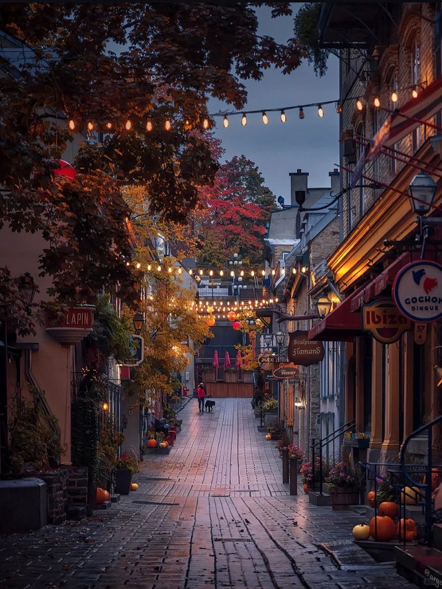 加拿大魁北克的秋天🍂鬼怪bgm已响起…_5_晚安HoHo_来自小红书网页版.jpg