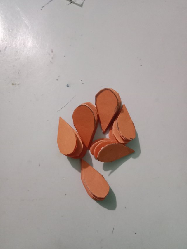 1000045048.jpg
