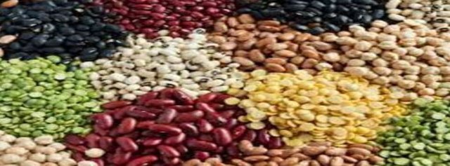 Legumes-10 Best Foods for Diabetes.jpg