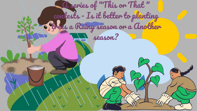 A series of This or That  contests - Is it better to planting trees a Rainy season or a Another season.png