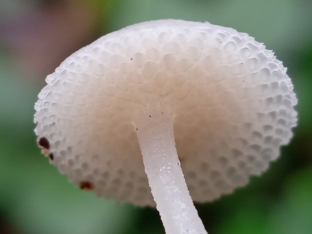 IMG_20211221_084534.jpg