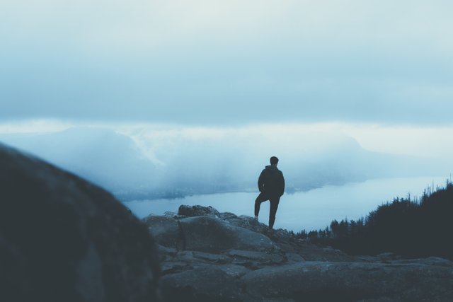 person-warm-coat-standing-rocky-mountain-looking-trees.jpg