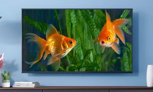 Fishy TV.jpg