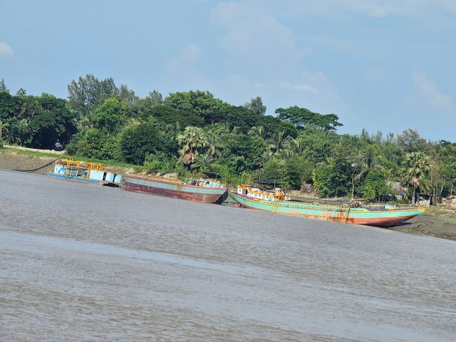 20250905_155618.jpg