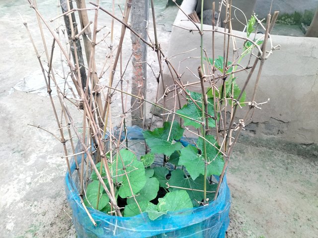 IMG20250711174336.jpg