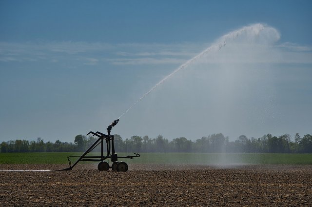 irrigation-5064925_1280.jpg