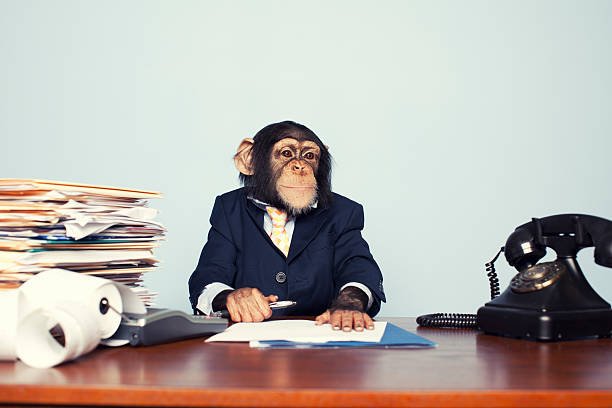 Monkey at desk.jpg