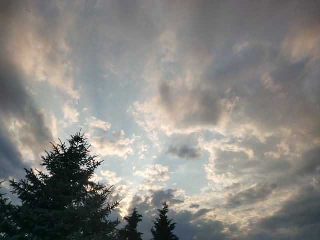 IMG_20250621_195621_HDR.jpg
