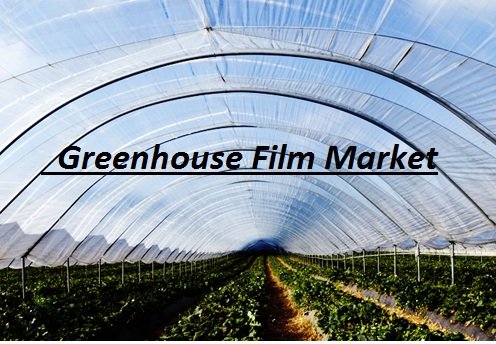 Greenhouse Film Market.jpg