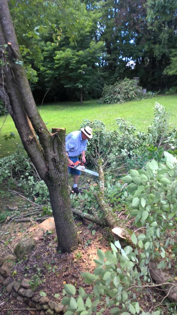 Dad cutting down tree.jpg