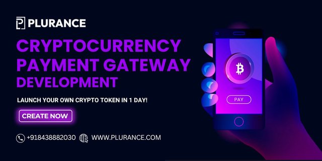 Plurance - Crypto Payment Gateway Development.jpg