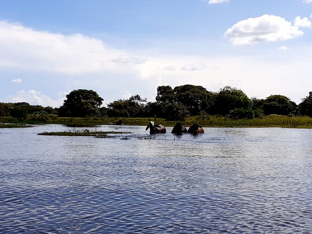 20221019_144224.jpg