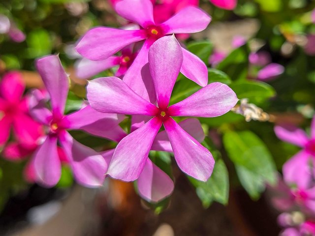 20250913_122621.jpg