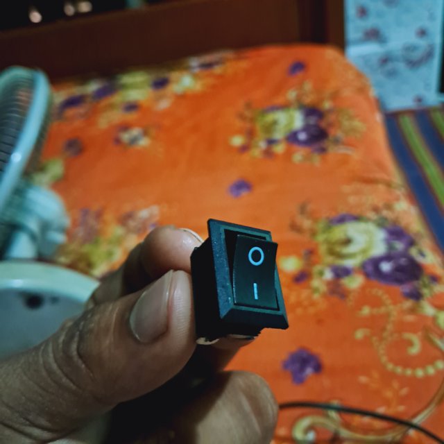 1000033244.jpg