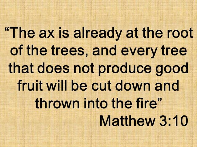 John the Baptist & the kingdom. The ax is already at the root of the trees, and every tree that does not produce good fruit will be cut down and thrown into the fire. Matthew 3,10.jpg