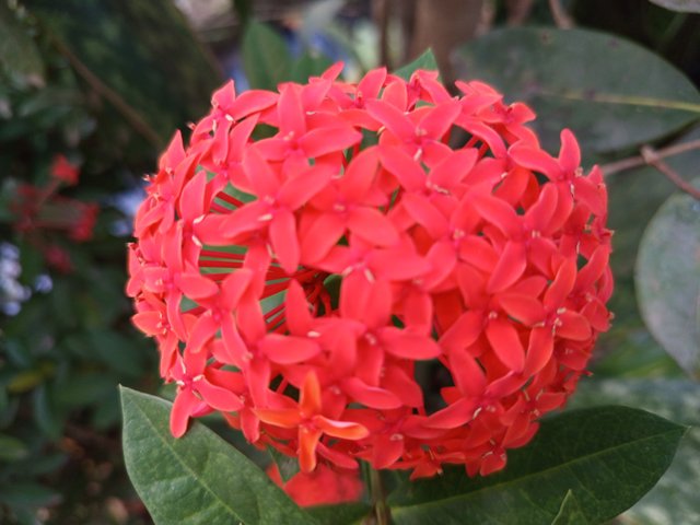 1000041118.jpg
