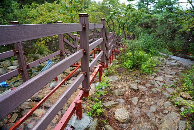 b-DSC02394.JPG