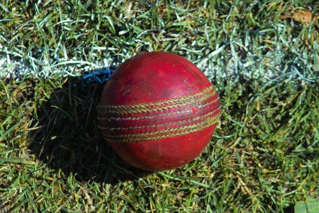 Used_cricket_ball.jpg