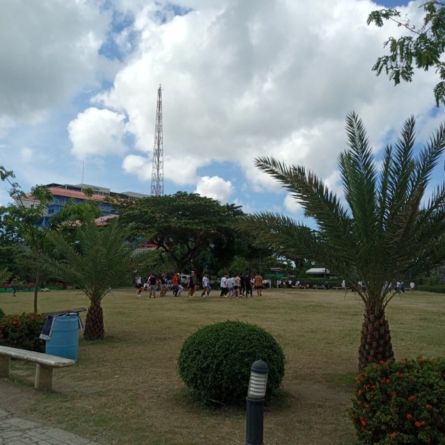 20250409_092316.jpg