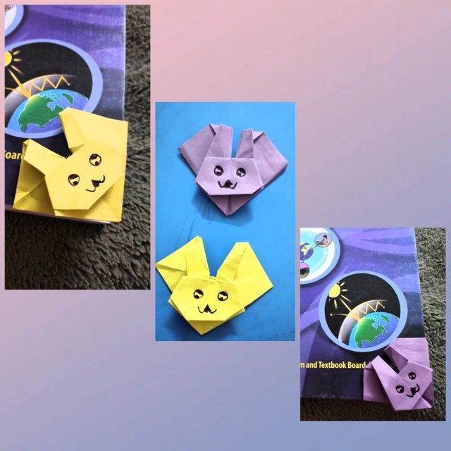 photocollage_20254703120753.jpg