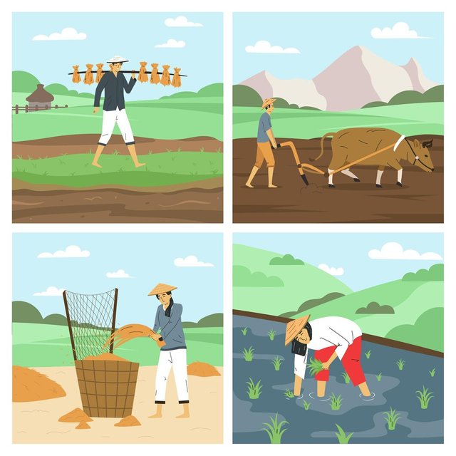 asian-farmers-flat-2x2-set-with-men-women-working-fields-harvesting-rice-ploughing-with-bull-isolated-vector-illustration_1284-79234.jpg