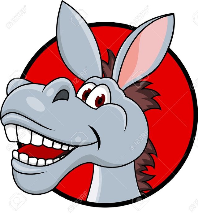 13394709-donkey-head-cartoon.jpg
