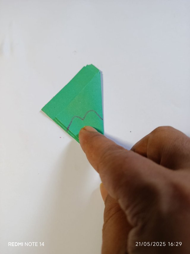 f5.jpg