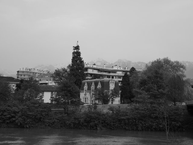 _1001560.JPG