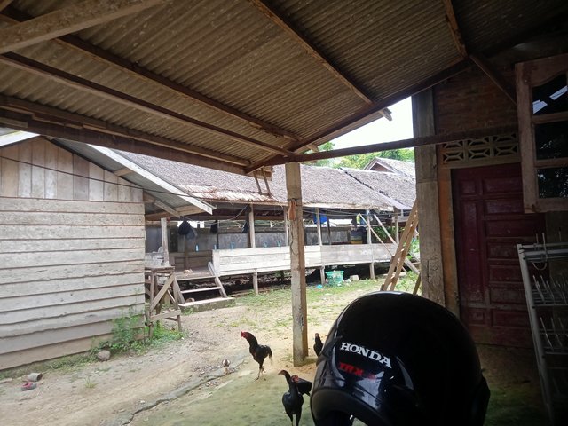 IMG20250822151905.jpg