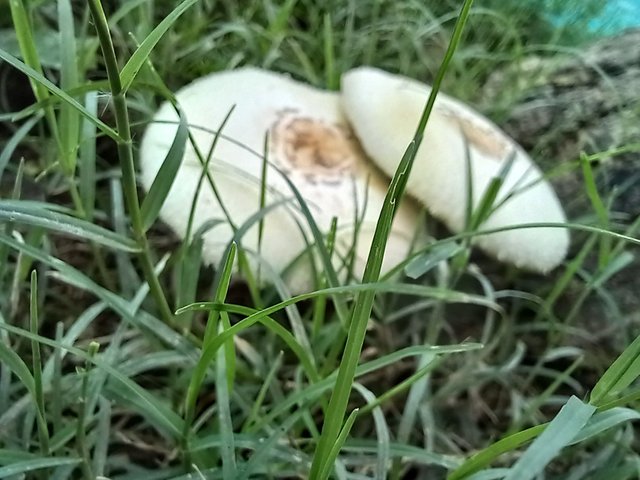 20250524_124050.jpg