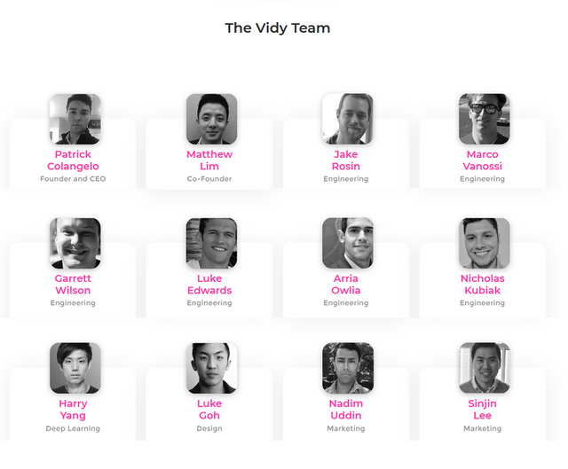 VIDY TEAM.png