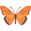 butterfly.png