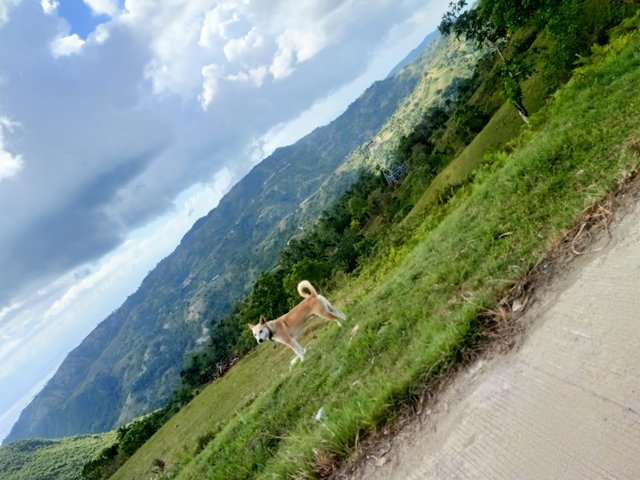 IMG20230319144226.jpg