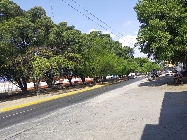 IMG_20250326_153955_865.jpg