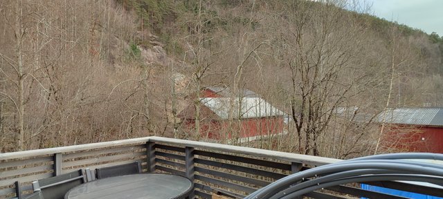 IMG_20250323_171504.jpg
