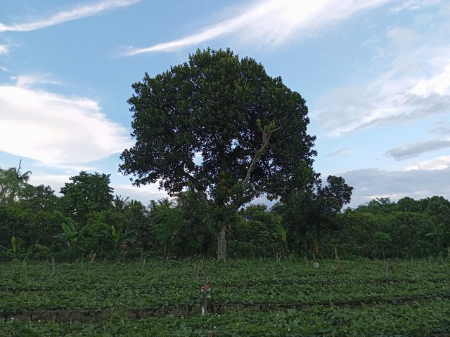 IMG_20250528_180113_697.jpg
