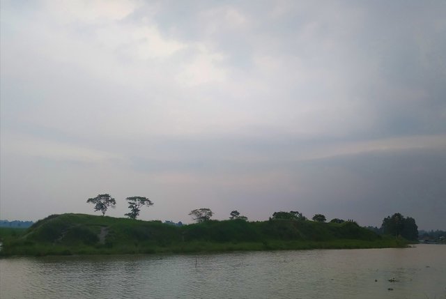 IMG_20250613_144439.jpg