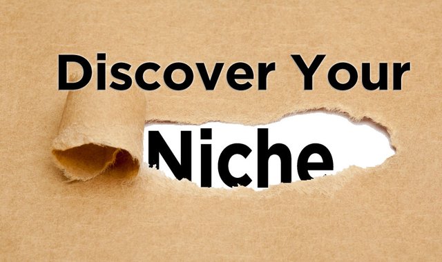 discover-niche.jpg