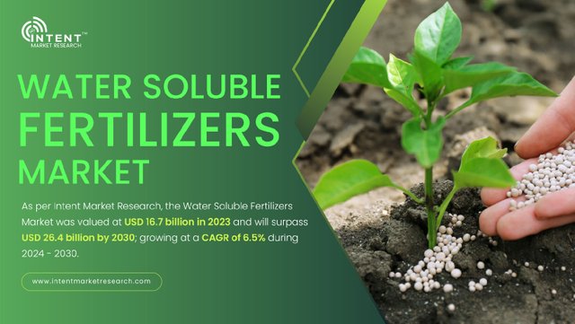 Water Soluble Fertilizers Market-01.jpg