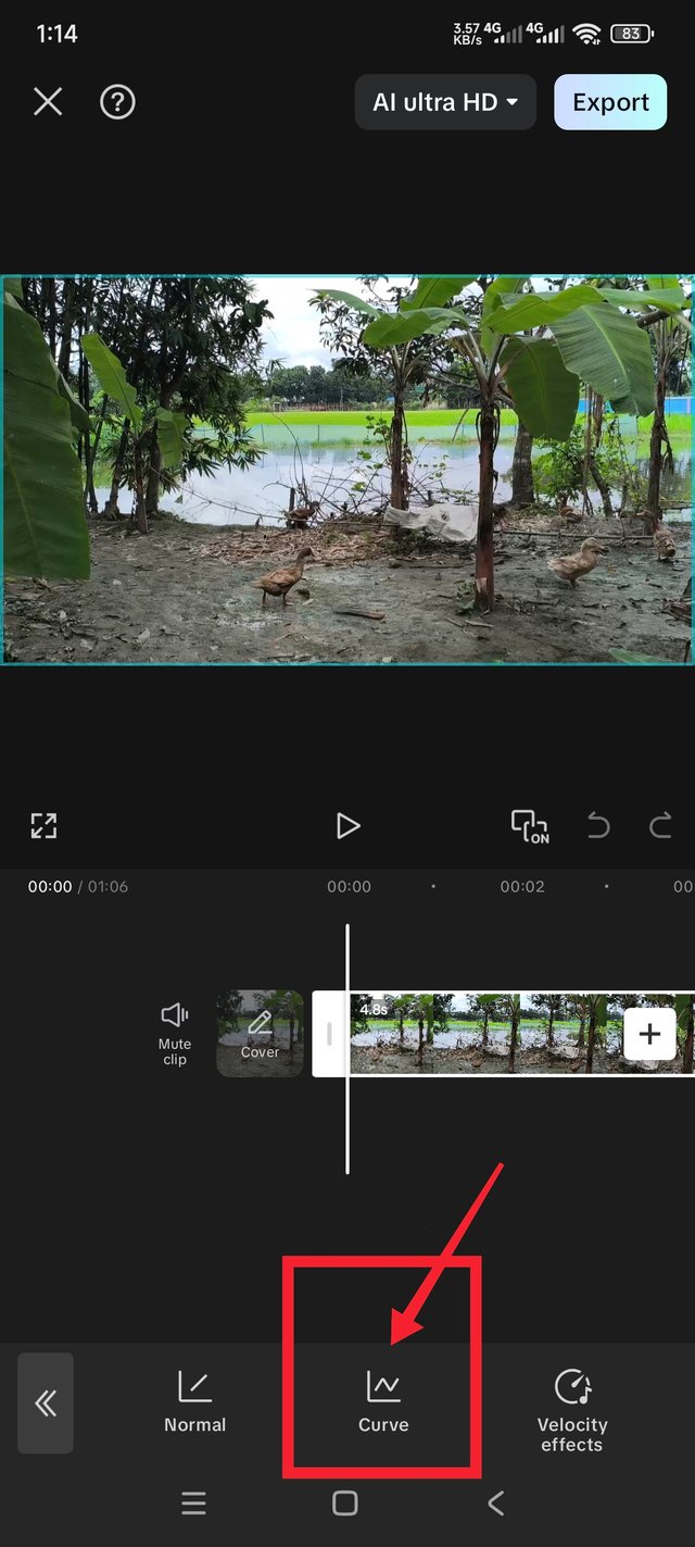 1000050432.jpg