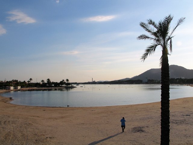 EN EL PORT D'ALCUDIA.JPG